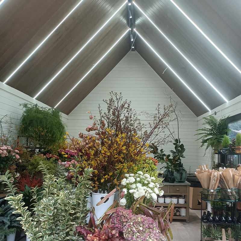 Casa de patio de madera